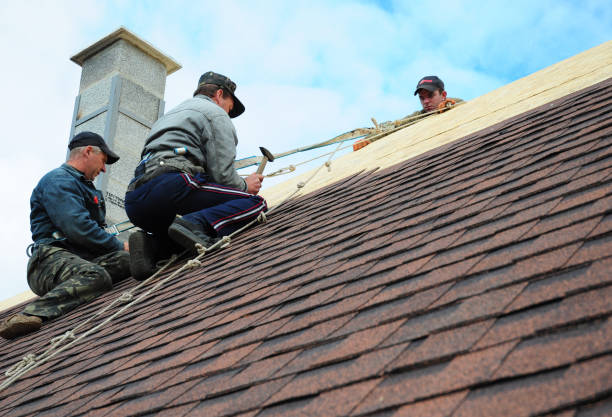 Quick and Trustworthy Emergency Roof Repair Services in Cayce, SC